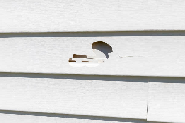 Affordable siding repair and maintenance services in Gassville, AR